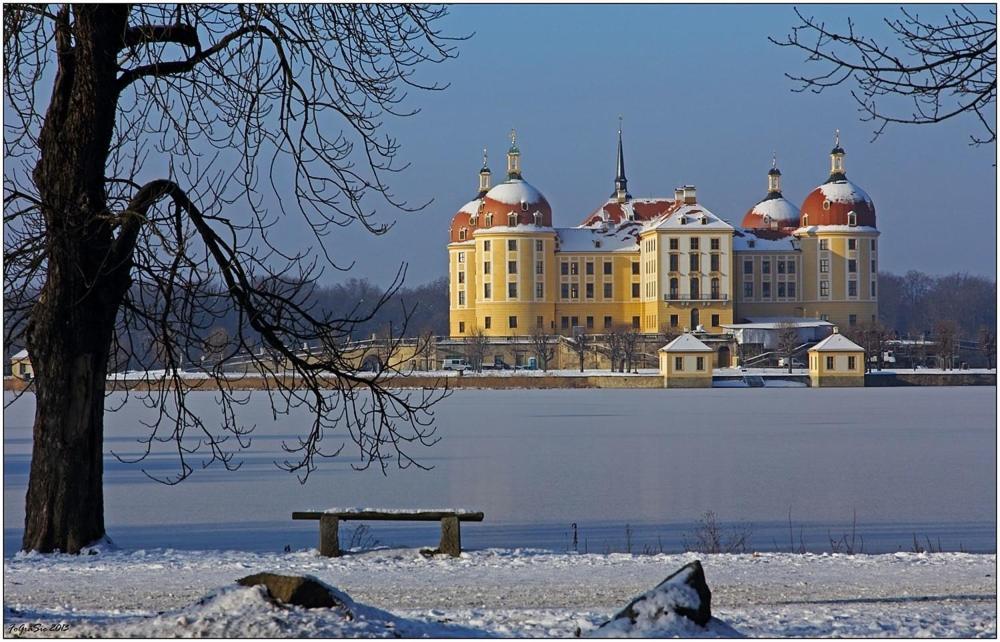 Gartenhaus Klotzsche Dresden Dış mekan fotoğraf