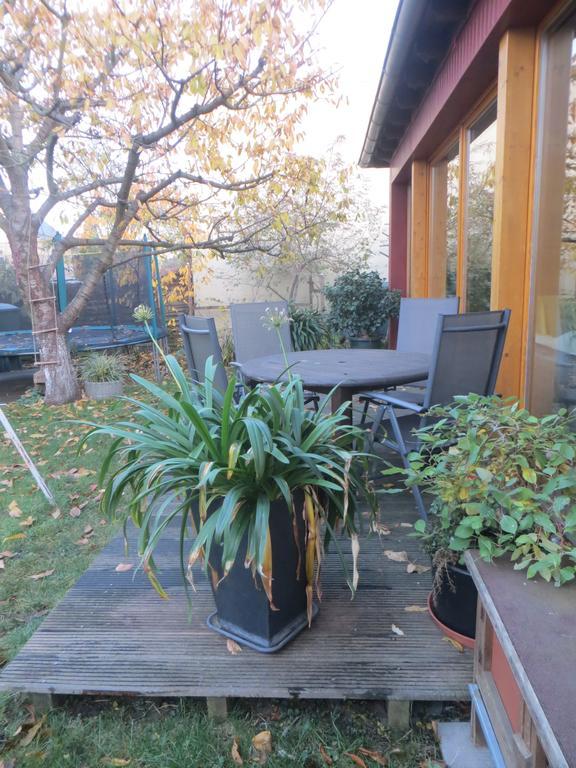 Gartenhaus Klotzsche Dresden Dış mekan fotoğraf